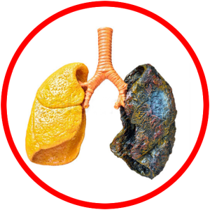 icon2.png