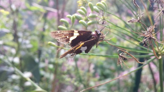 20130817_142408[1].jpg