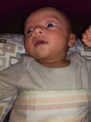 IMG_20130615_203458.jpg