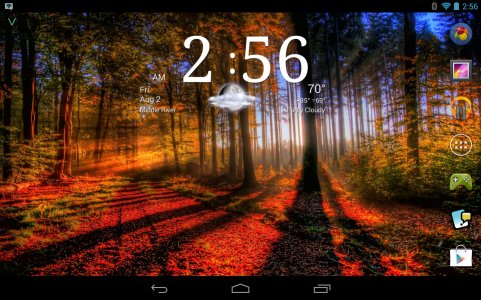 Screenshot_2013-08-02-02-56-05.jpg
