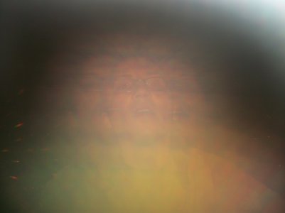 2009-01-05 12.14.09.jpg
