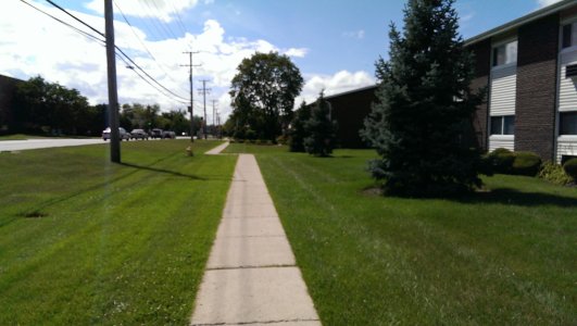 IMAG0093.jpg