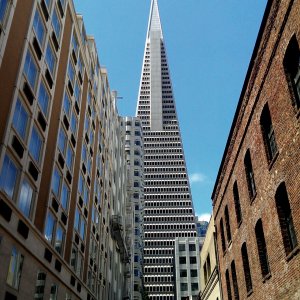 IMAG0337_20130801175128552.jpg