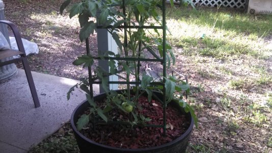 2013-05-22 18.38.47.jpg