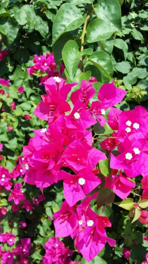 2013-08-24 14.35.58.jpg