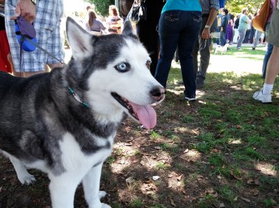 2013-09-22 14.05.32.jpg