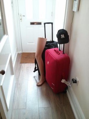 luggage.jpg