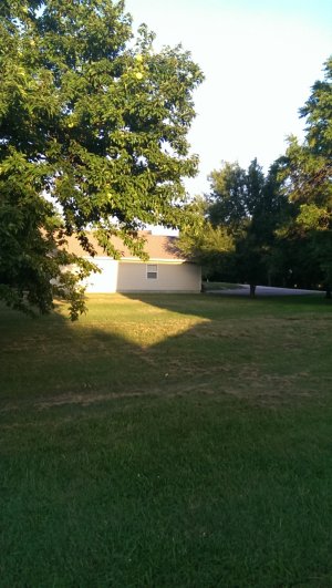 Sample 1 HTC 1 standard settings.jpg