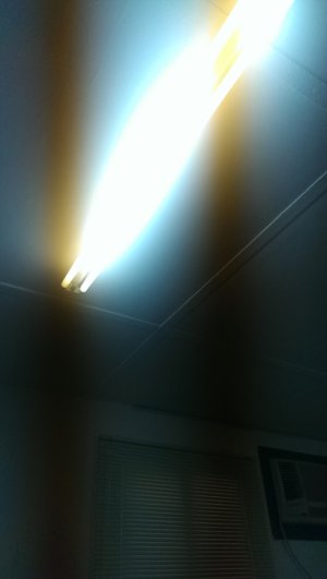 IMAG0276.jpg