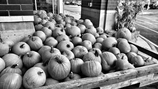 IMG_20130926_083412839 (1).jpg