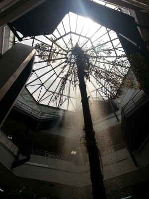 20130822_123939.jpg