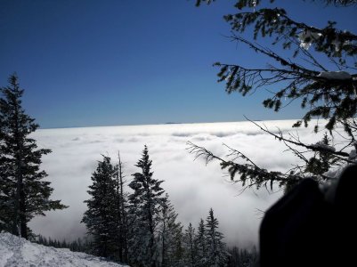 20120204_133428.jpg