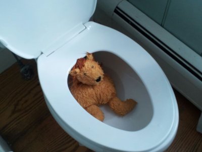 lion-in-toilet.jpg