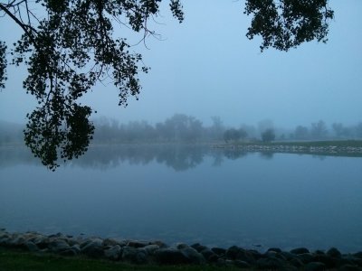 IMG_20130908_091332.jpg