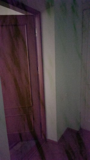 IMAG0331.jpg