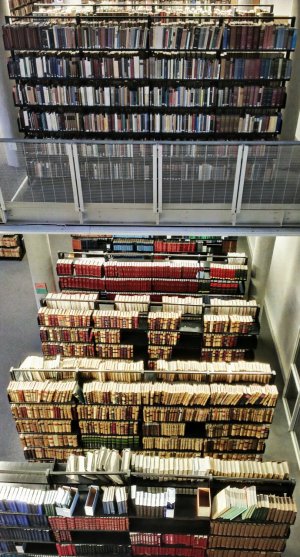 IMAG1577_1.jpg