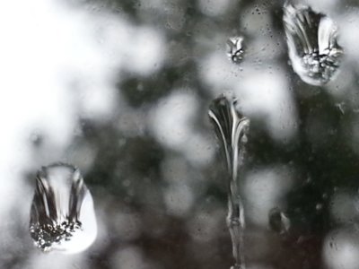 window rain.jpg