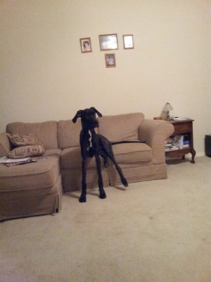 20120219_204436.jpg