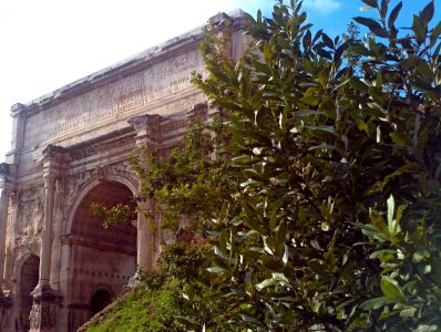 Arch - Copy (1).jpg