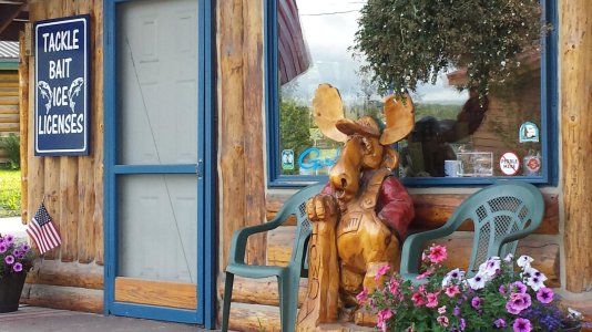Talkeetna moose.jpg