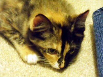 2012-01-30 14.29.28.JPG