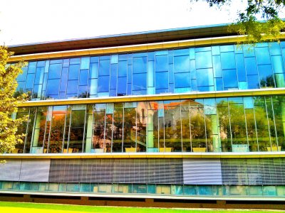 library-main.jpg