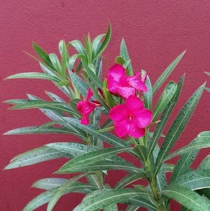 2013-09-01 16.55.39.jpg