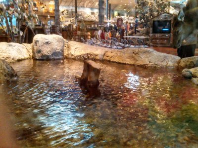 BassProShop.jpg