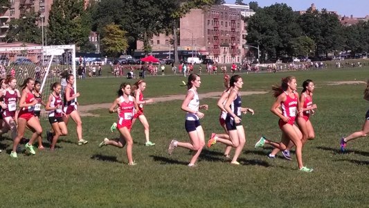IMG_20130907_100719947.jpg