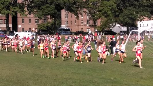 IMG_20130907_100716809.jpg