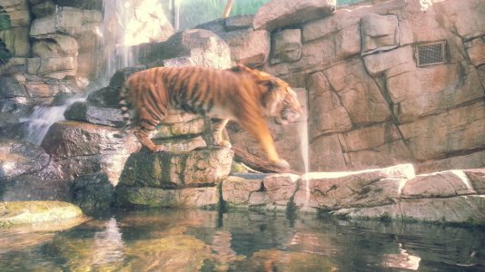 20130213_132942.jpg