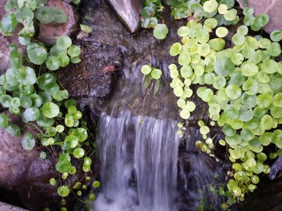 20130901_185658.jpg