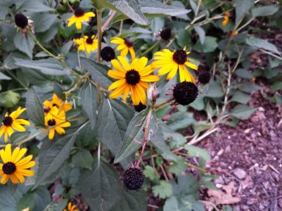 20130901_190030.jpg