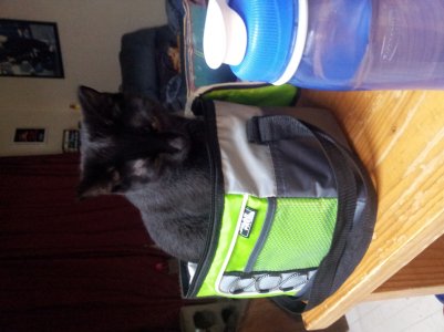 20120207_054607.jpg
