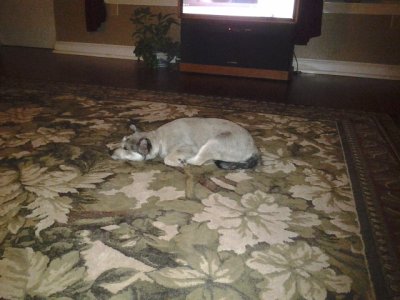 20120326_204958.jpg
