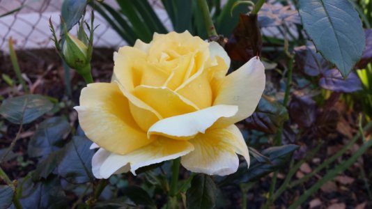 20130512_091959.jpg