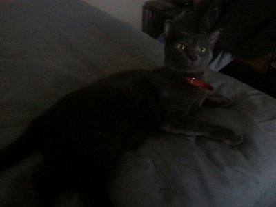 Max_resized.jpg