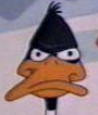 daffy2.png