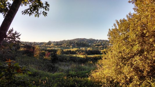 IMG_20130831_190609283_HDR.jpg