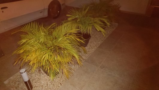 2013-09-03 22.06.13.jpg