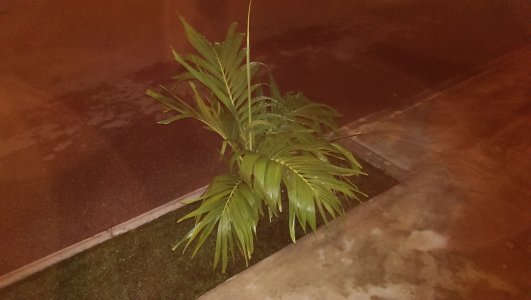 2013-09-03 22.06.44.jpg