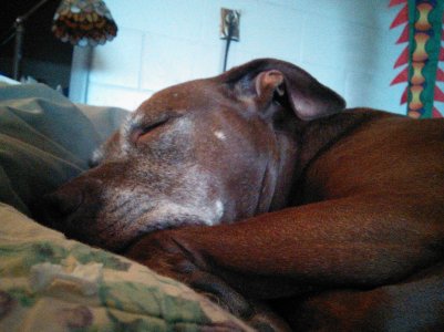 SleepingBeauty.jpg