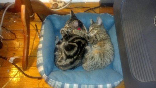 IMG_20130904_222944_368.jpg
