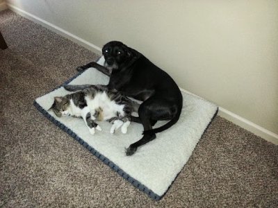20130911_093248.jpg