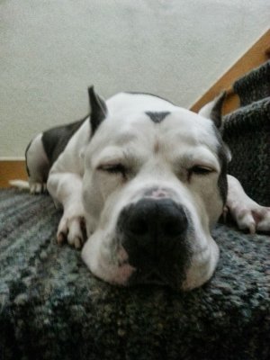 IMG_20130622_090452.jpg