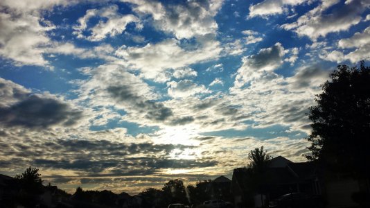 20130806_073441.jpg