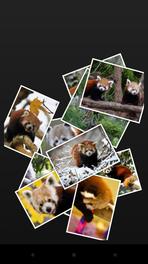 Screenshot_2013-02-15-10-22-42.png
