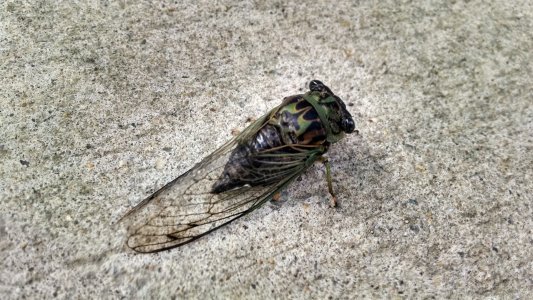 IMG_20130910_094844514_HDR.jpg
