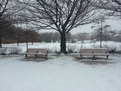 20130306_103011.jpg