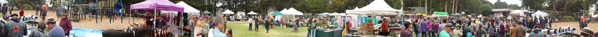 r1-In the middle of the Big Sur Jade Festival -20131013_152530 copy_edited-1.jpg